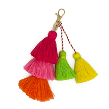 Load image into Gallery viewer, Flamingo Bag, Lime Handle, Liner and Bouquet Tassel Bundle